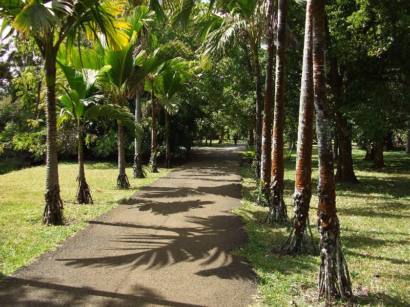 Pamplemousses Botanical Garden (6) 